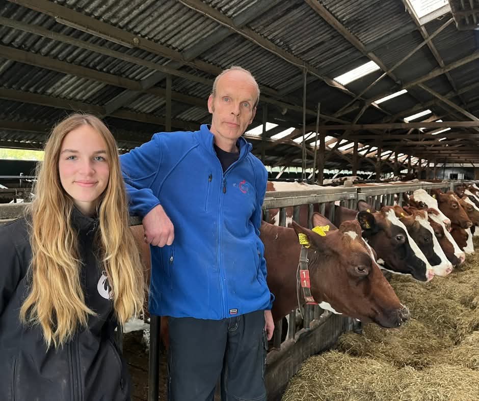 De koe kan zichzelf niet redden. Waarom Pros Veldman zich boer voelt tot in zijn vezels